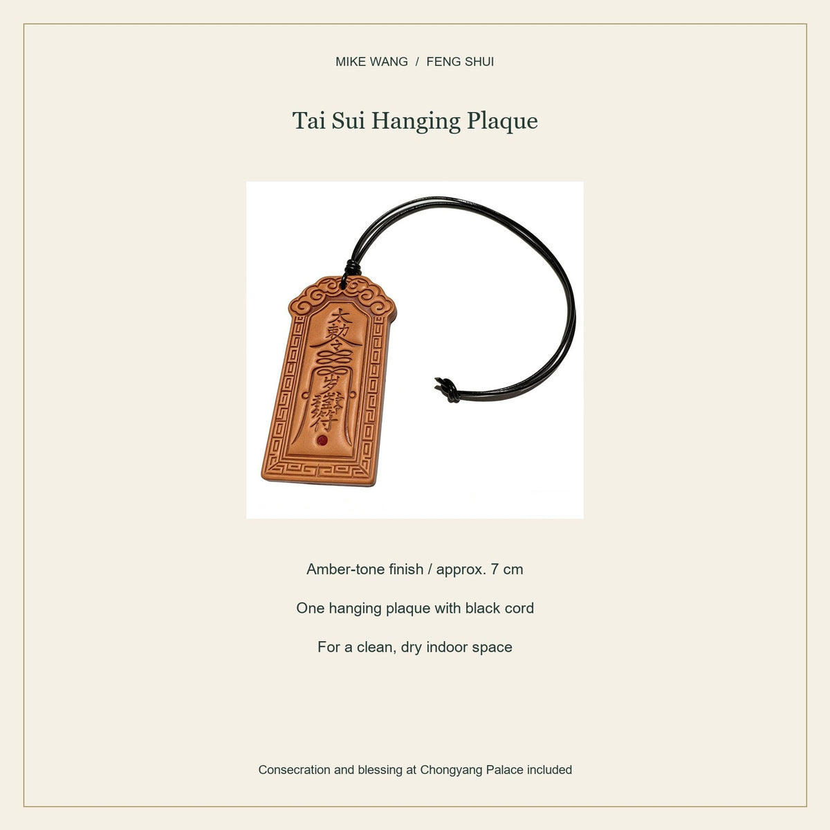 Tai Sui Amber-Tone Hanging Plaque — Tai Sui Hanging Plaque / specifications